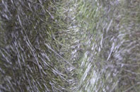 North Huish fibreglass roof work